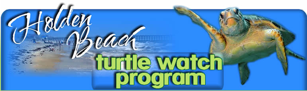 Turtle Watch Program